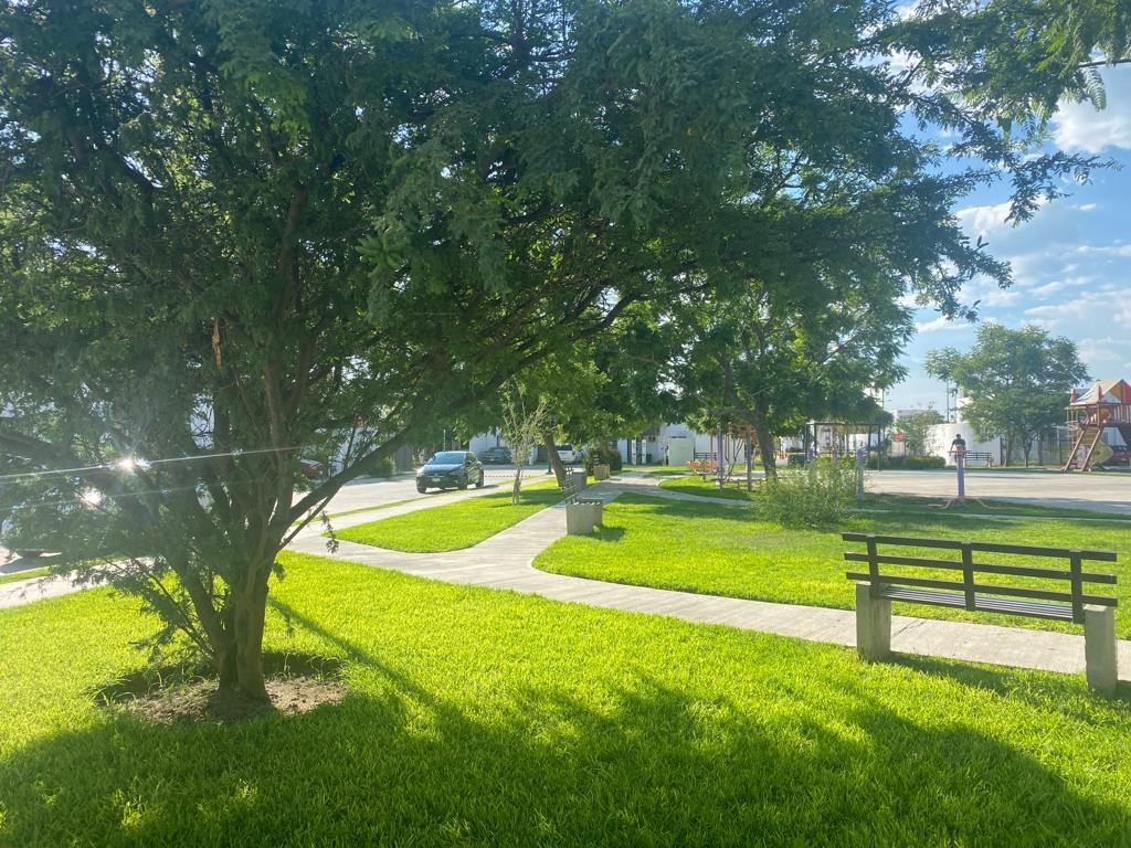 Urge SMAOT a municipios a reforzar reforestación en Guanajuato