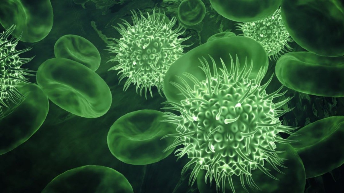 ¡Toma precauciones! ¿Ahí vienen los contagios de covid otra vez?