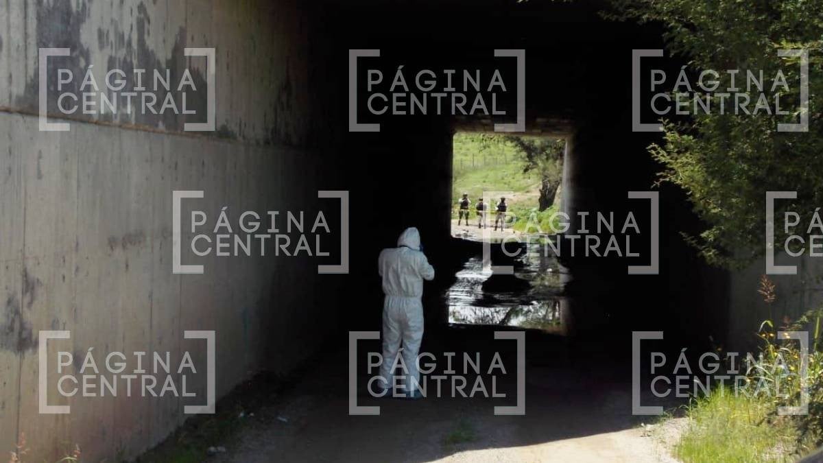 Encuentran bolsa con restos humanos bajo puente en Eje Metropolitano