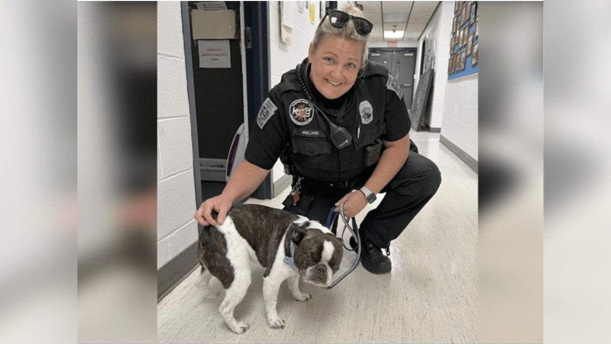 Perrito es abandonado por su dueña en el aeropuerto; no lo dejaron abordar