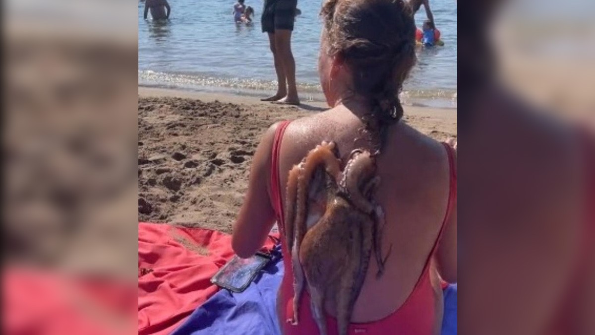 Chica sale del agua de una playa y pulpo se aferra a su espalda sin que se diera cuenta