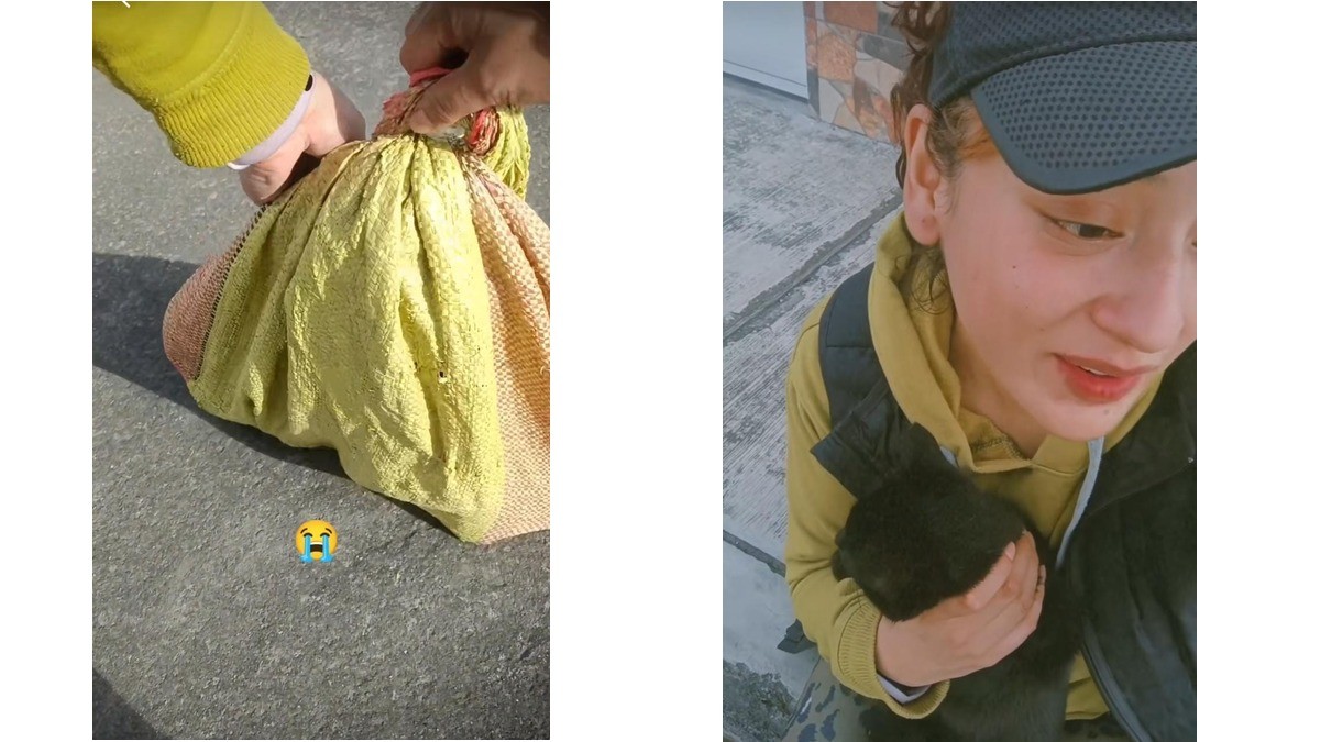 Joven sale a trotar y se encuentra a un gato dentro de un costal