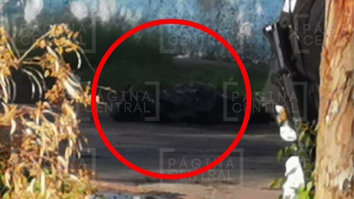 Amanecer rojo: vecinos descubren cuerpo encobijado en Fracciones de Jerez