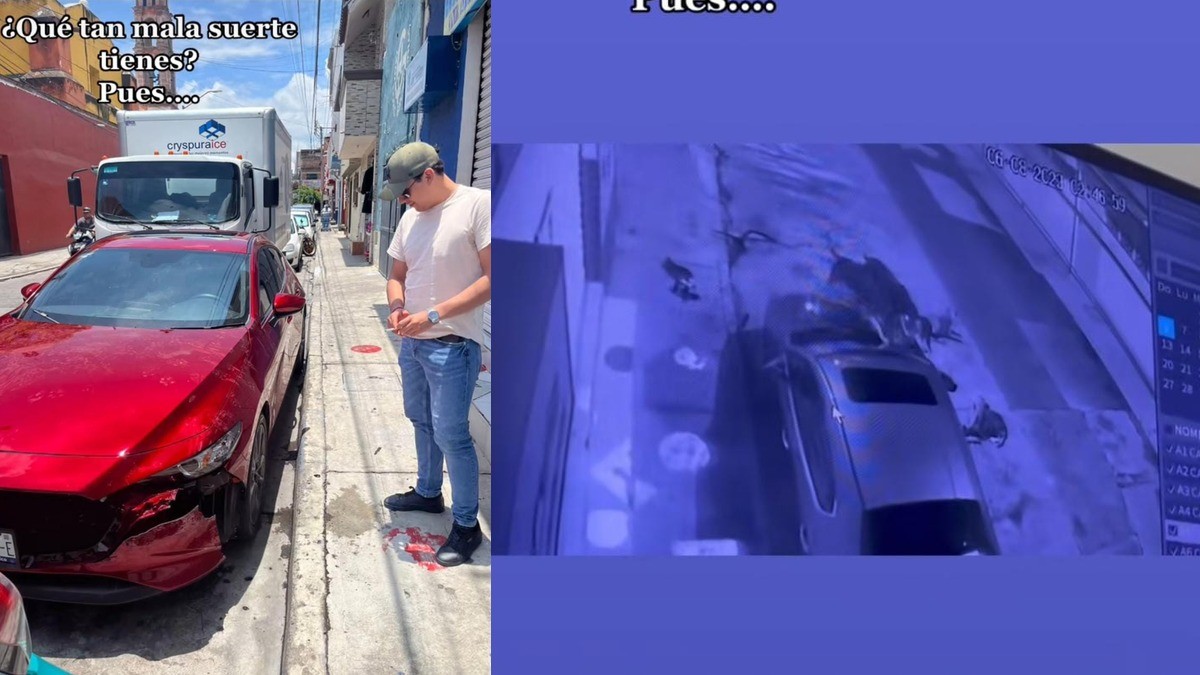 Así grabaron cómo una 'banda de lomitos' vandaliza carro de joven durante la noche