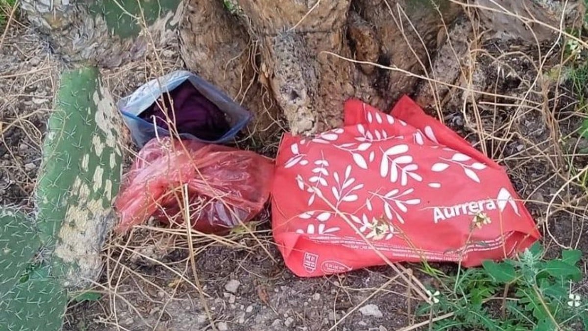 Rescatan a recién nacido que fue abandonado dentro de una bolsa de plástico
