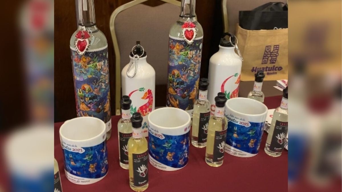 ¡Ahora Oaxaca está a 1 hora 15 minutos de Guanajuato!; beneficiará vuelo directo a ambos estados