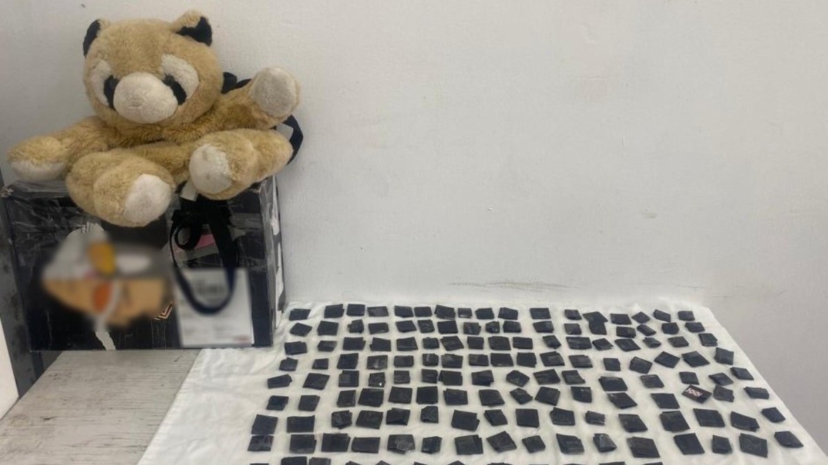 ¡Oso mañoso! Pasajero de Primera Plus llevaba osito de peluche relleno de cocaína; lo descubre la Guardia