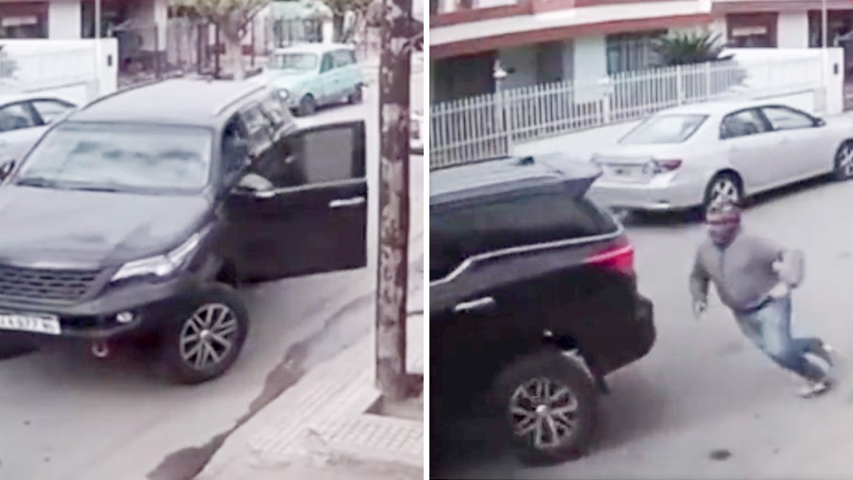 VIDEO: Perrito chofer conduce una camioneta hasta estrellarla en la casa de una vecina