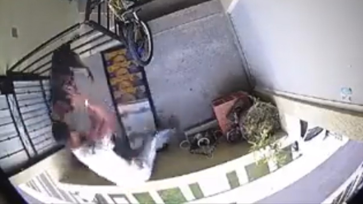 ¡Desalmado! Hombre golpea y arroja a perrito desde la ventana de un edificio (VIDEO)