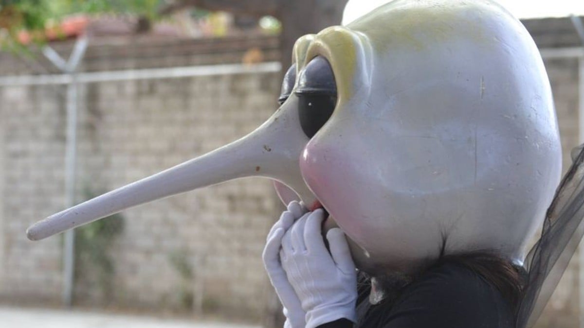 Casos de dengue se expanden en Celaya; León tiene un caso importado