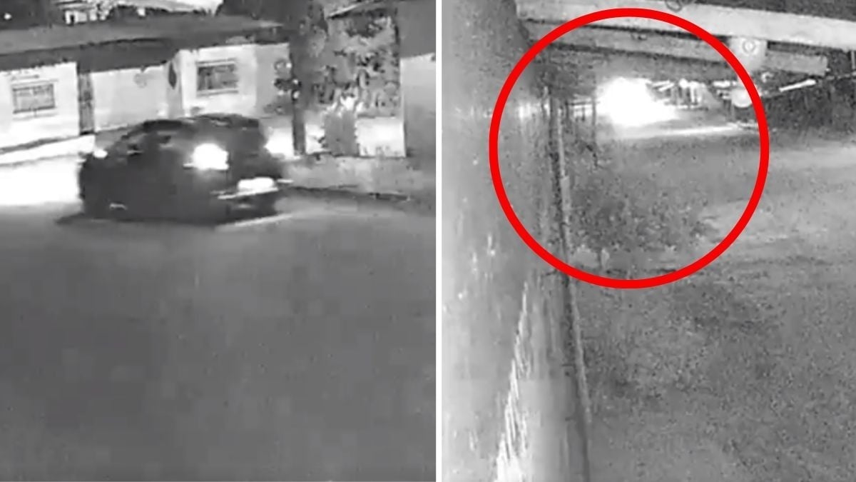 VIDEO Sicarios atacan vivienda y mueren al olvidar que tenían una granada activa en el auto