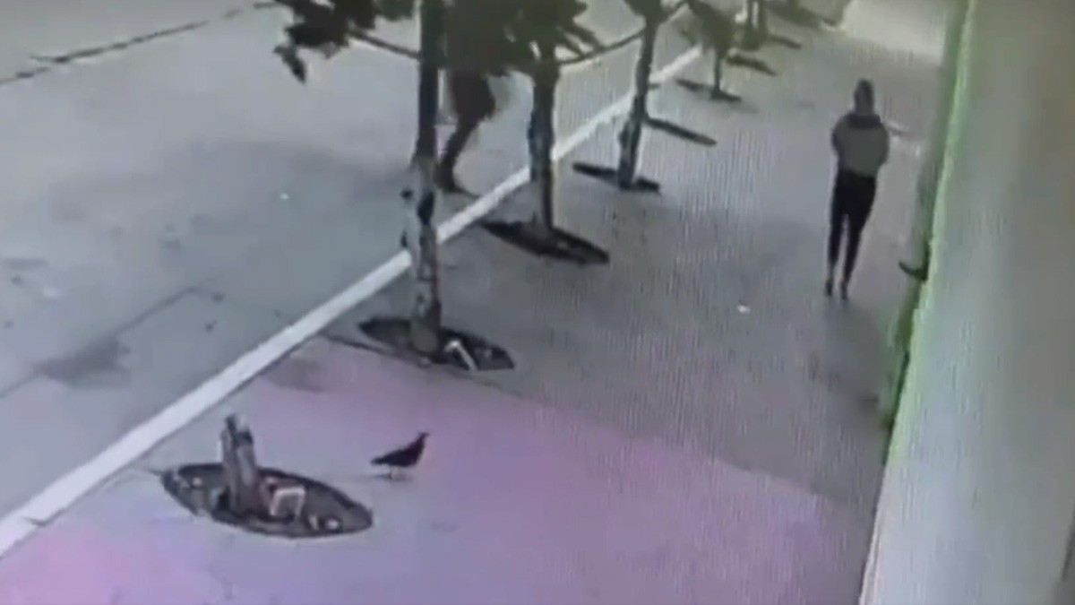 VIDEO: Mujer caminaba por la calle y hombre la mata a balazos para quitarle su celular