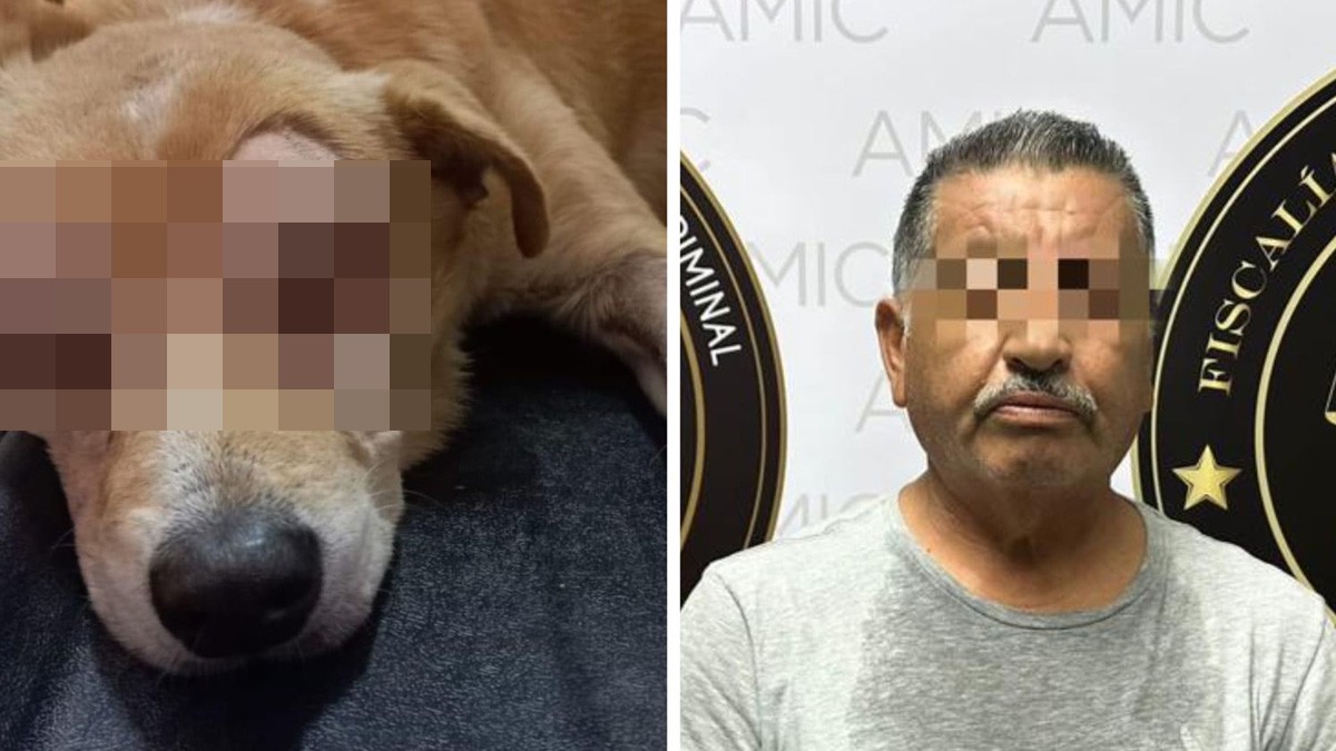 Arrestan a hombre que dejó ciego a un perrito tras atacarlo a cuchilladas en los ojos
