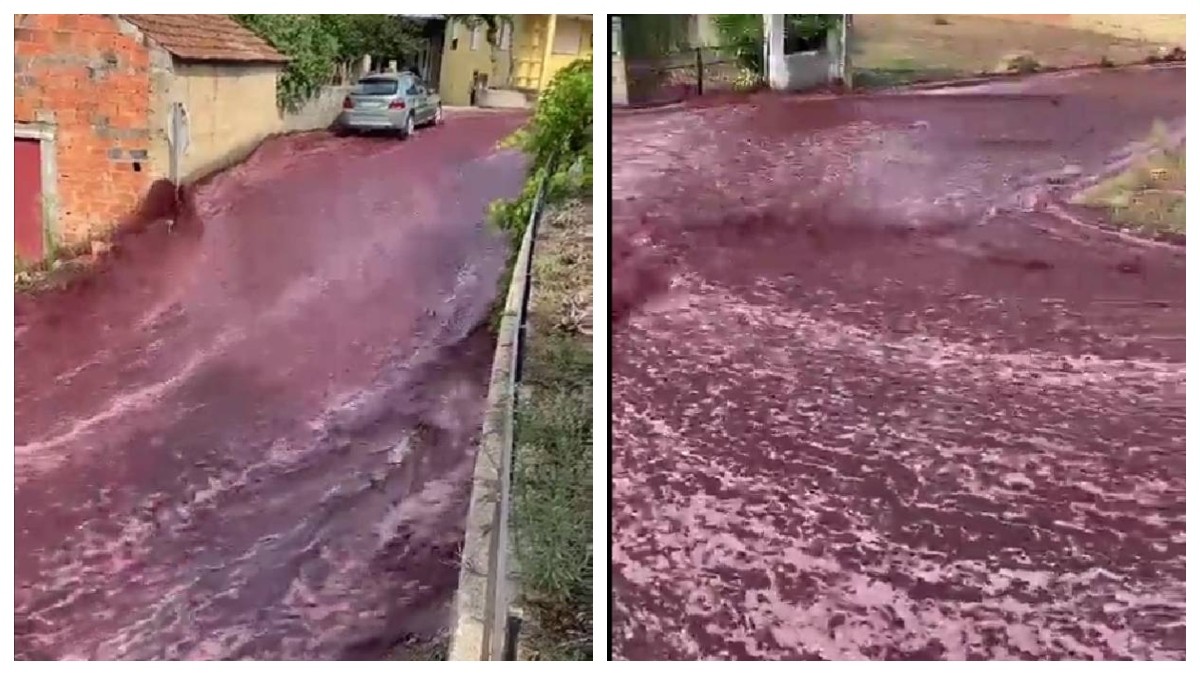VIDEO. Saca las copas, río de vino inunda las calles y sorprende a vecinos