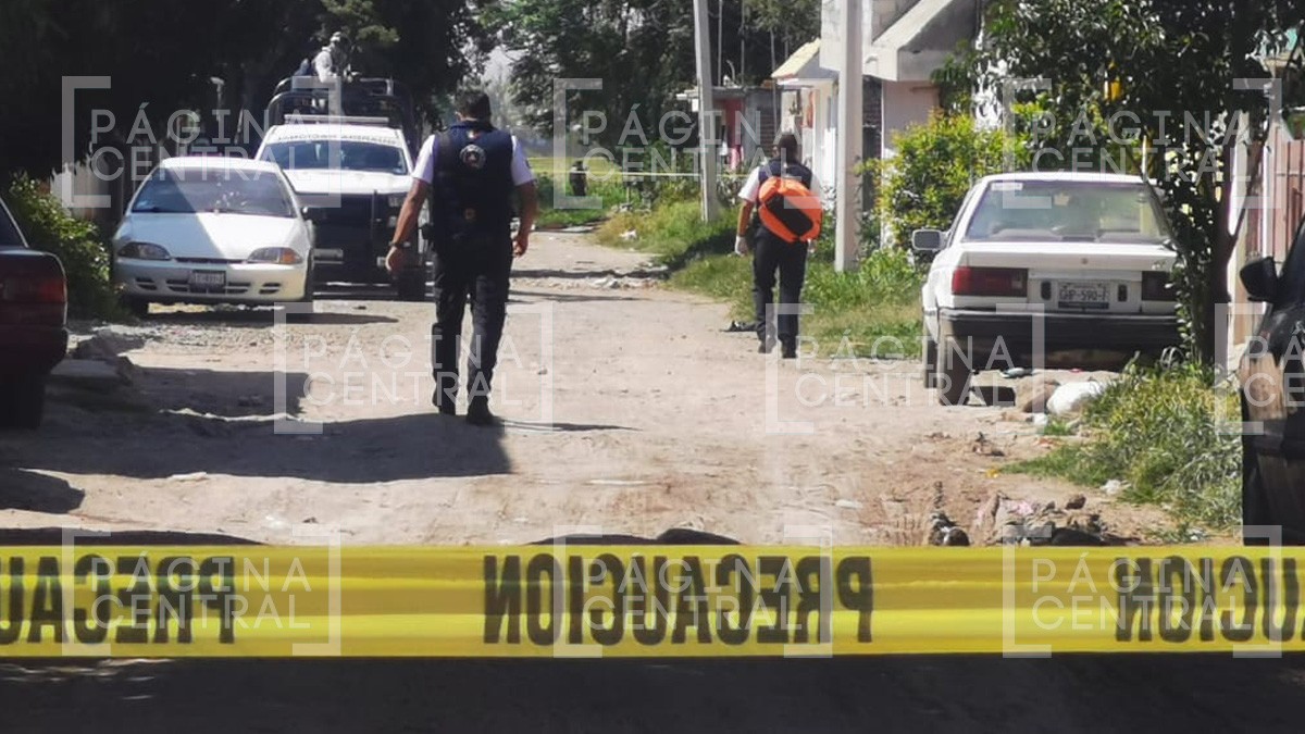 Perro llevaba mano en el hocico; descubren restos humanos en San José de los Durán