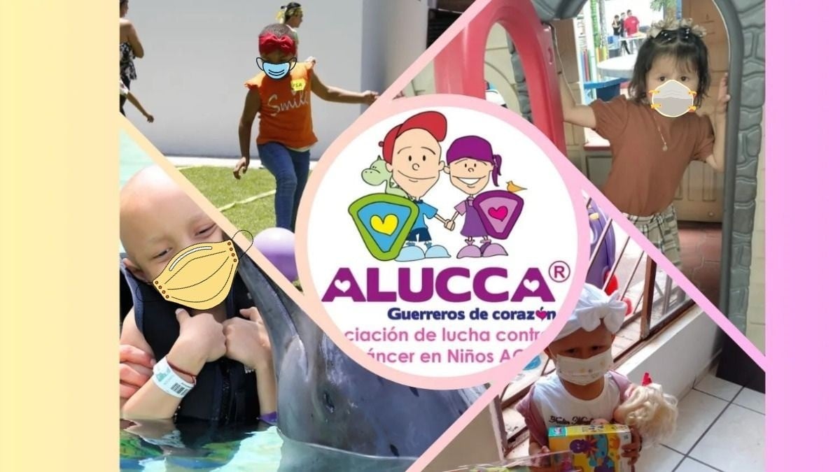 Cáncer infantil: Alucca es un apapacho al corazón de pequeños ‘guerreros’ y luchadores