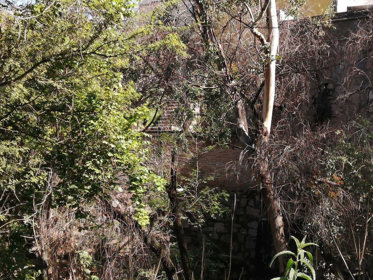 Río Guanajuato, entre contaminación e invasión de particulares