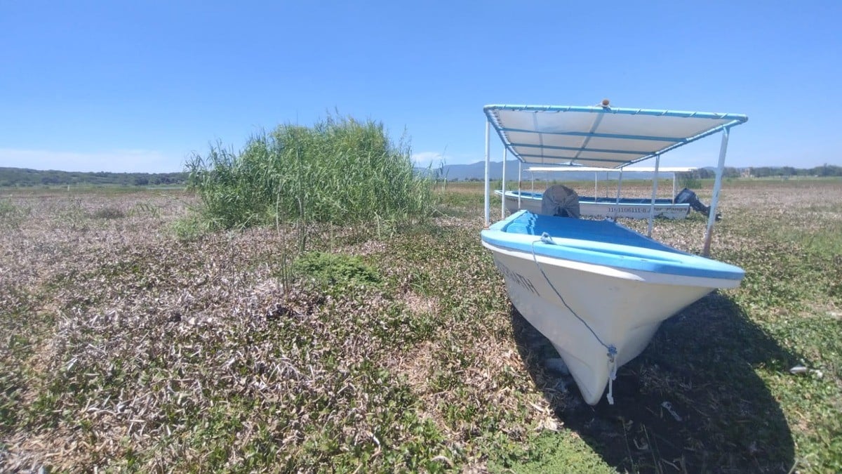 En Yuriria se evapora la laguna y agoniza su fuente de ingresos: la pesca