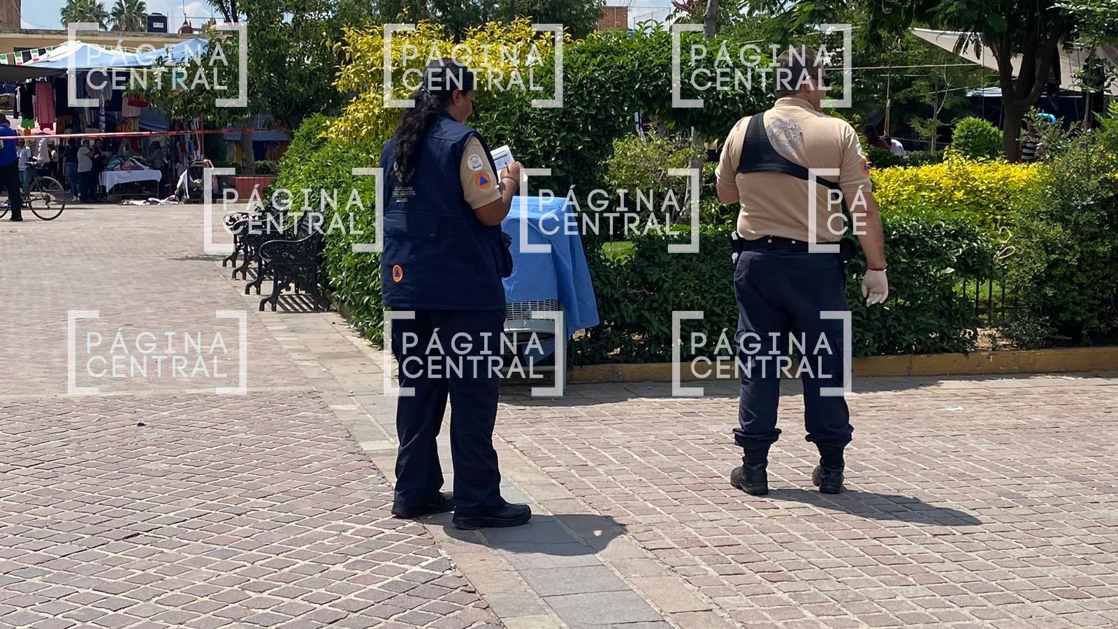 Hallan restos humanos en bote de basura en el jardín de San Miguel