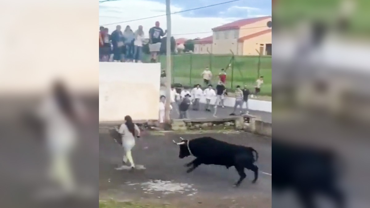 Captan momento en que mujer desafía a un toro y el animal la embiste