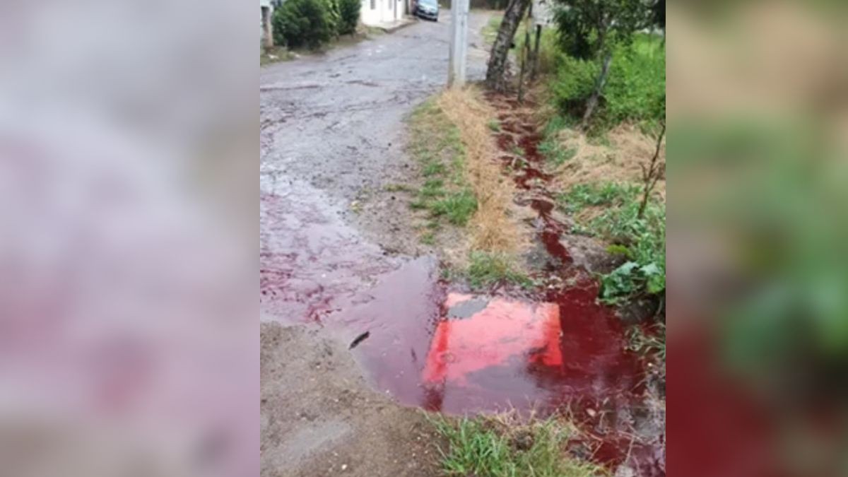 Brota sangre de las coladeras desde hace dos meses en este municipio