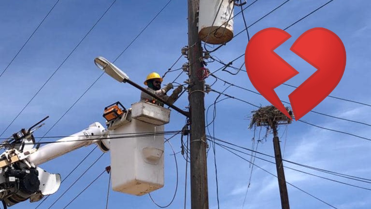 Empleado de la CFE se vengó de esta manera de su ex y causa furor