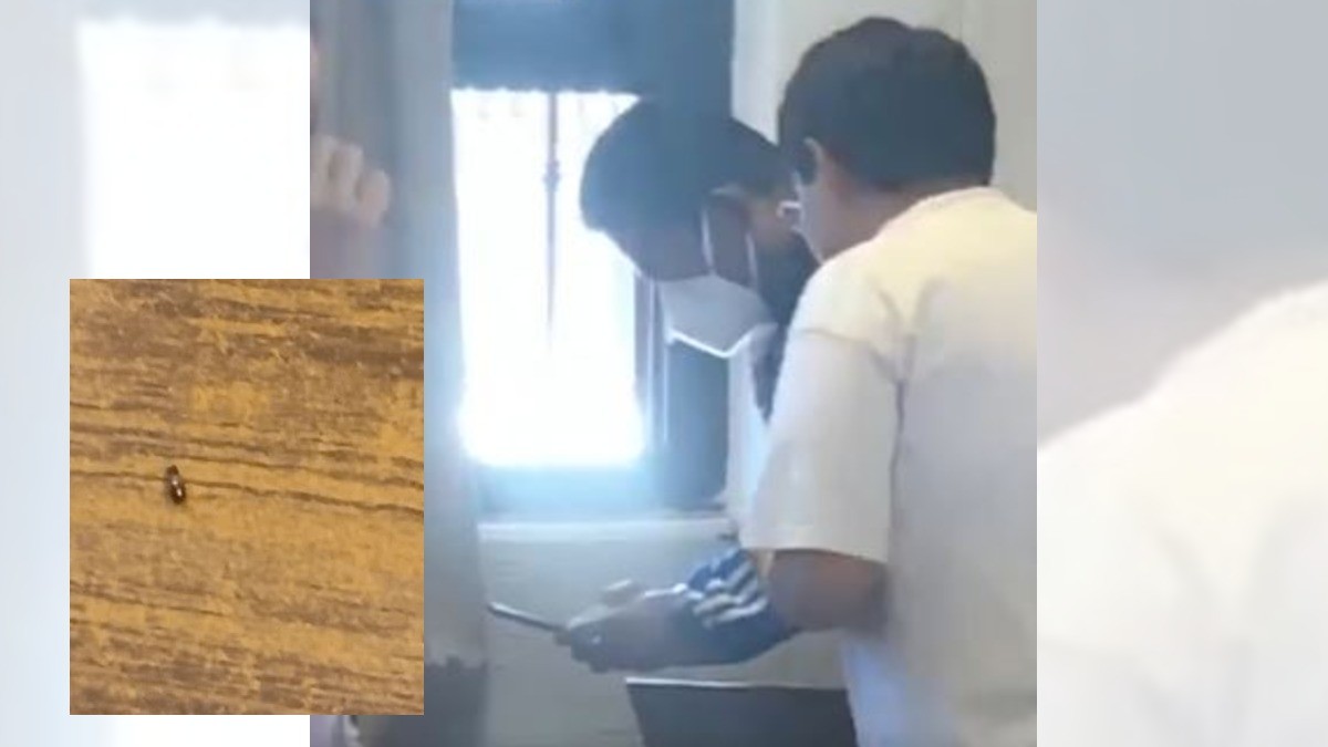 Ahora ataca plaga de chinches a alumnos de la Preparatoria de León; toman clases virtuales