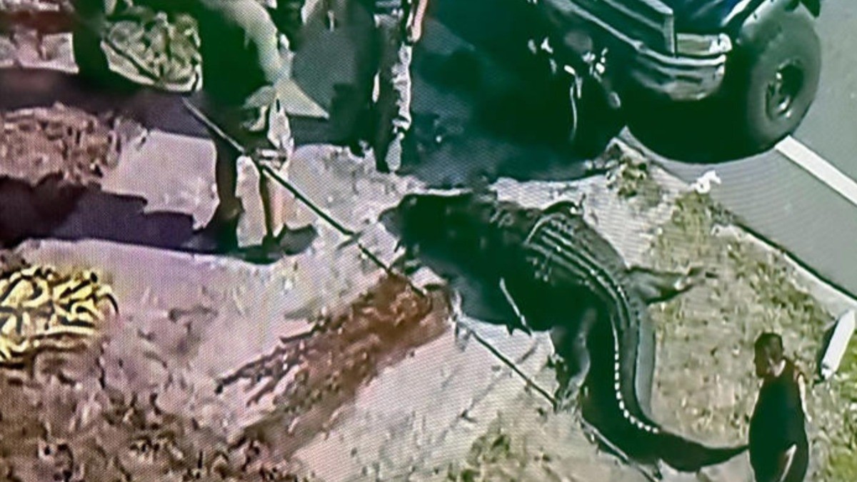 ‘Nadie merece morir así’, identifican a mujer devorada por cocodrilo en Florida