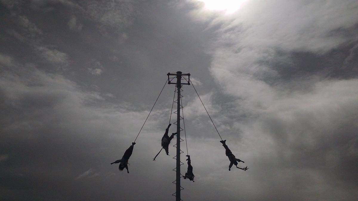 VIDEO Golpe tras golpe, Voladores de Papantla chocan con árbol; gente grita del susto 