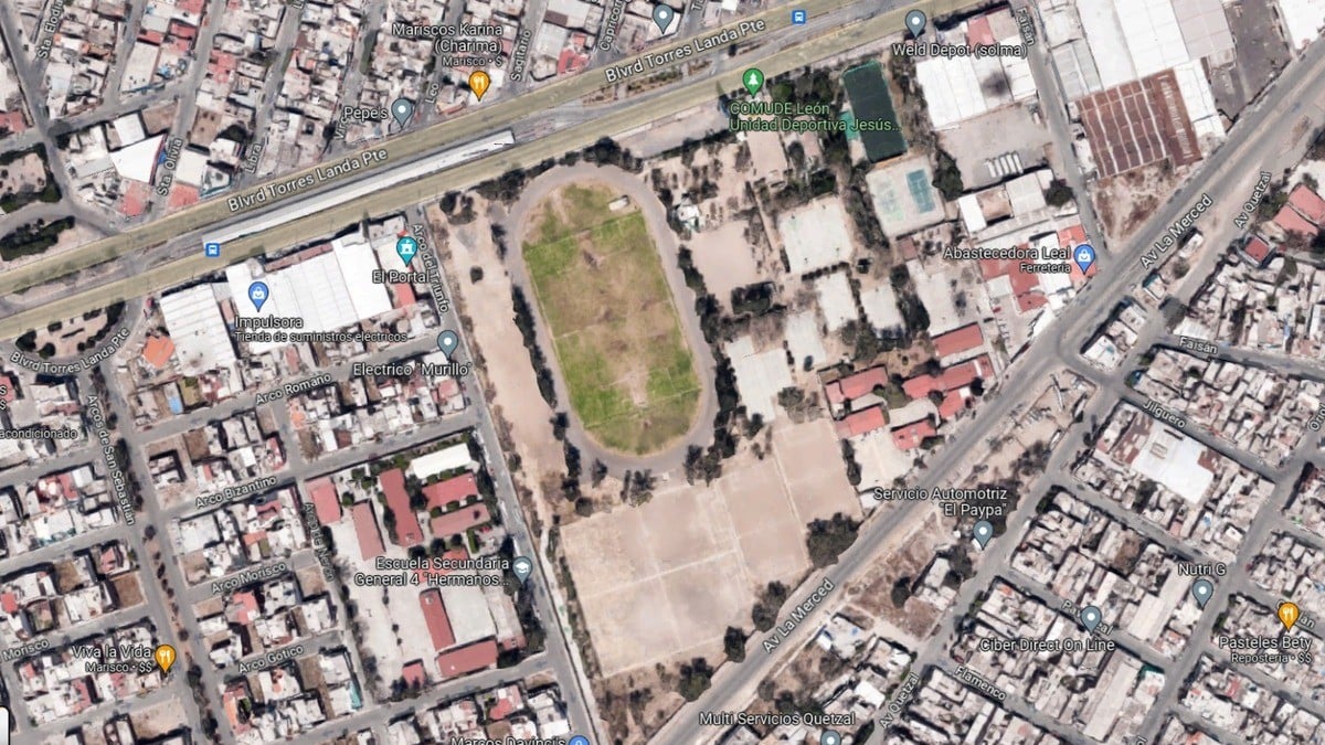 Tumbarán más árboles en León; ahora será para construir nuevo paradero del SIT