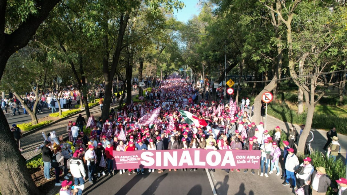 Cárteles fueron fundamentales para triunfo de Morena en el Pacífico: Observatorio Nacional