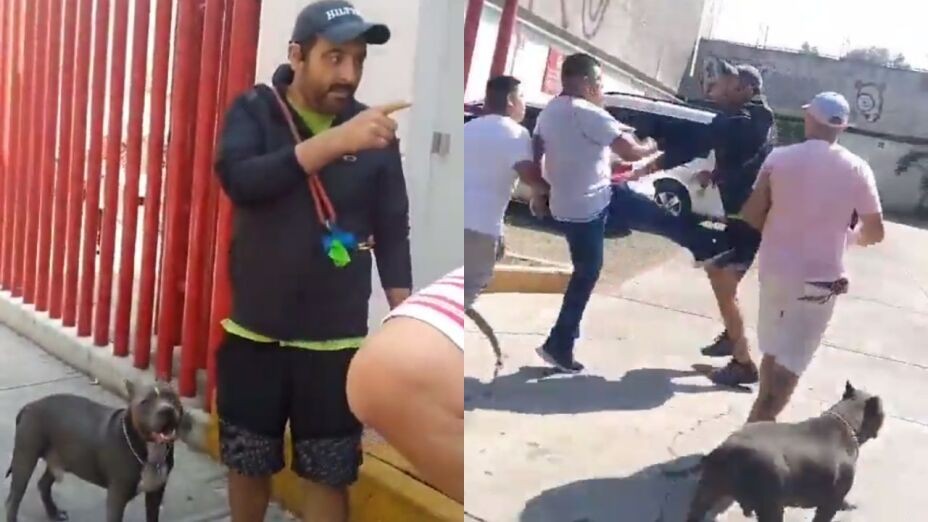 VIDEO Mujer le pide a hombre que le ponga correa a su perro y él le da una bofetada