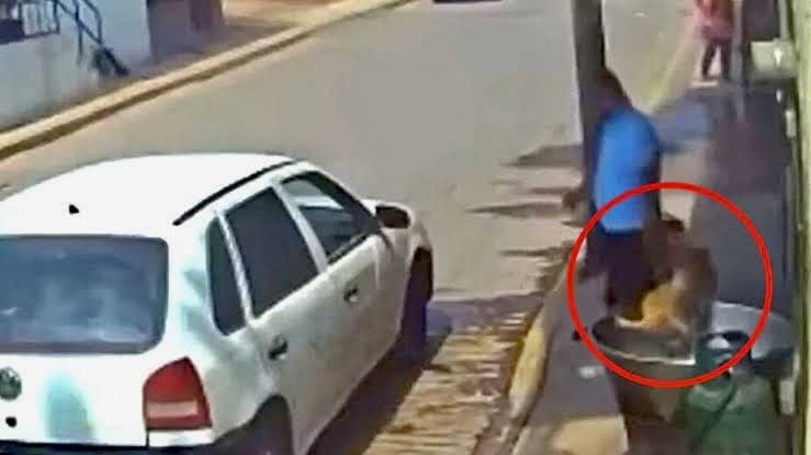 Sentencian finalmente a hombre que arrojó a Scooby al cazo con aceite, este sería su castigo: