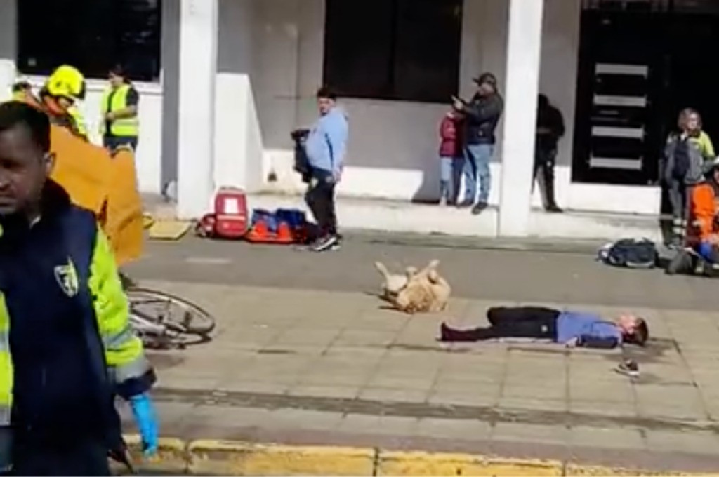 VIDEO Hacen simulacro de un choque y un perrito ¡se hace el muertito!