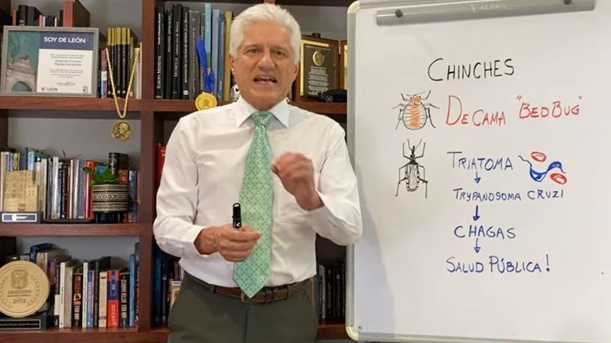 Plaga de chinches de cama es inofensiva; solo se está generando psicosis colectiva: médicos especialistas