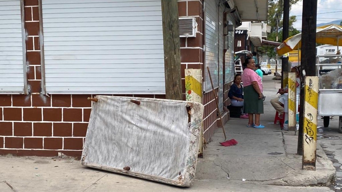 Plaga de garrapatas y chinches, invaden también en la colonia León I