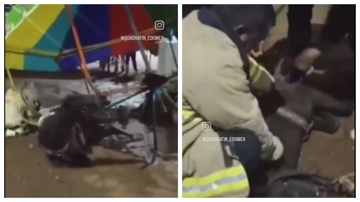 VIDEO Trágico paseo: muere poni electrocutado mientras jalaba carrusel en feria