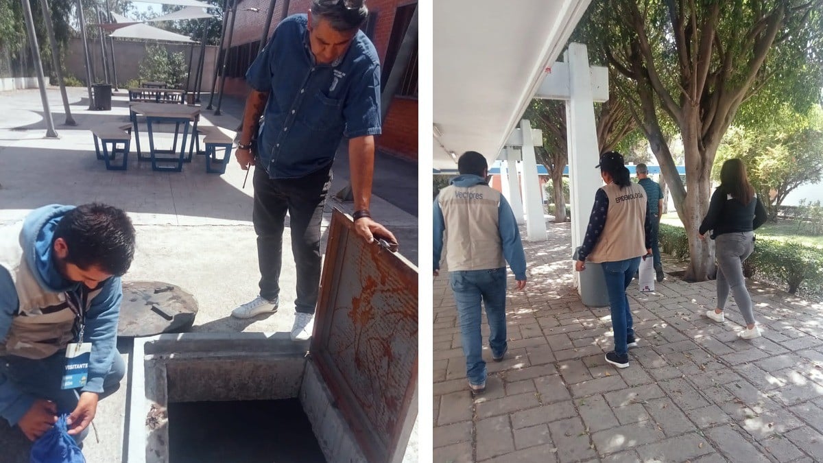 No hay presencia de chinches en ‘prepas’ de la UG en León: SSG