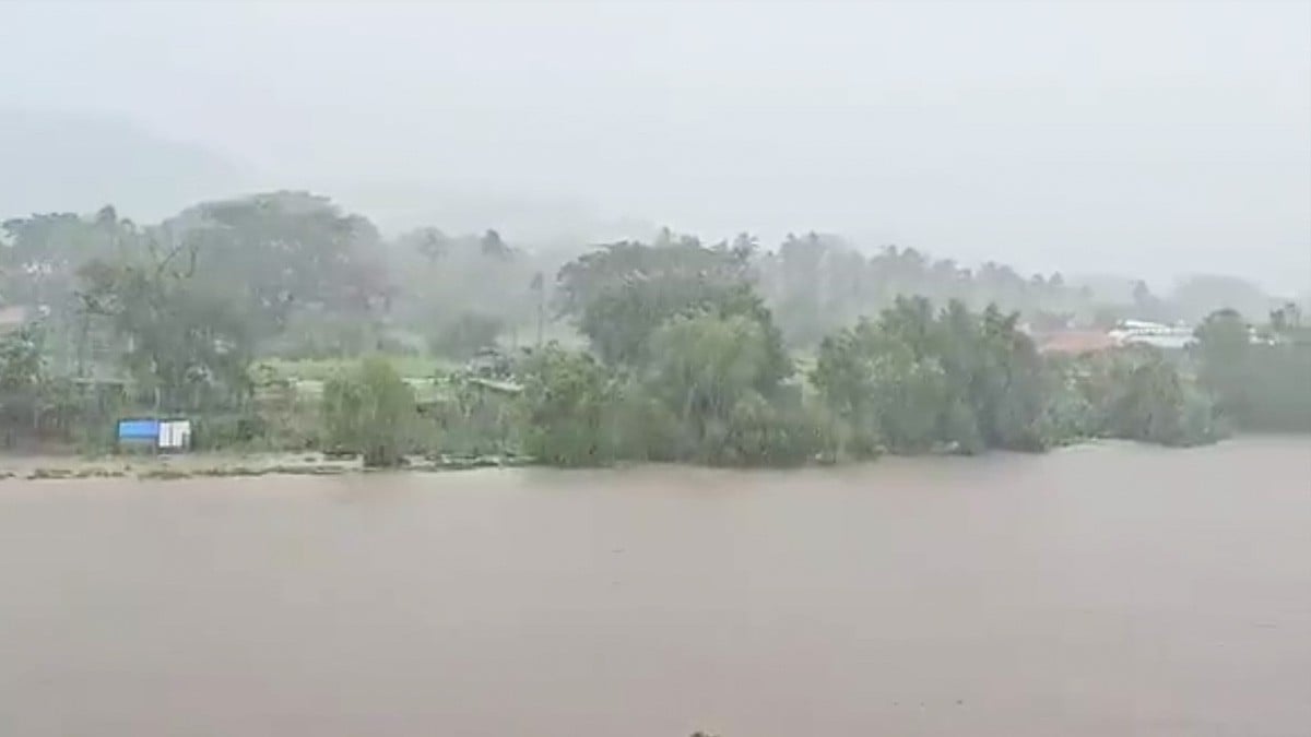 VIDEO: Campesino quiso salvar a su ganado de la corriente, pero fue arrastrado y murió