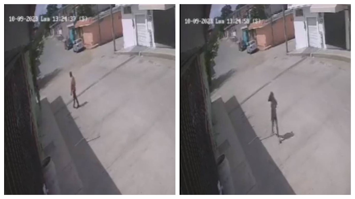 VIDEO Mandan a niña a la tienda y hombre quiso robársela, pero ella lo mordió