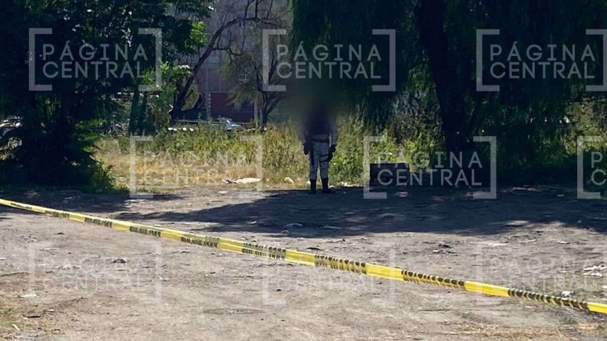 ¡Perros llevaban una pierna en el hocico! Hallan restos humanos en El Tlacuache en León