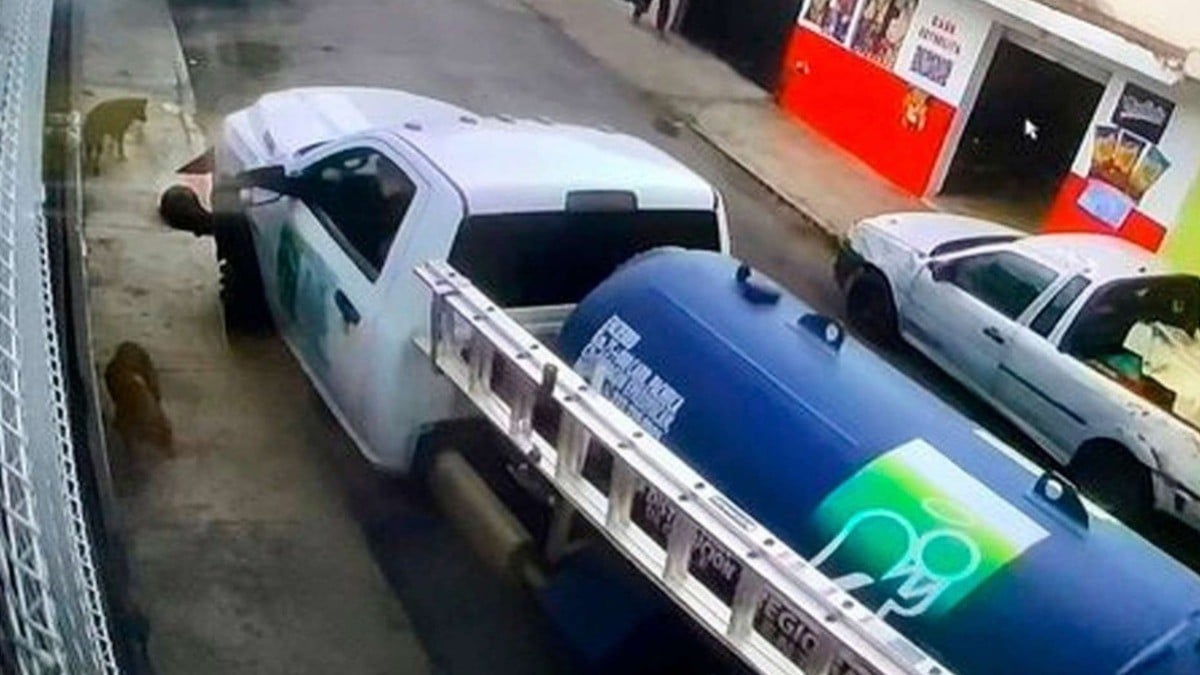 VIDEO Graban a repartidor de gas mientras atropella a perrito callejero
