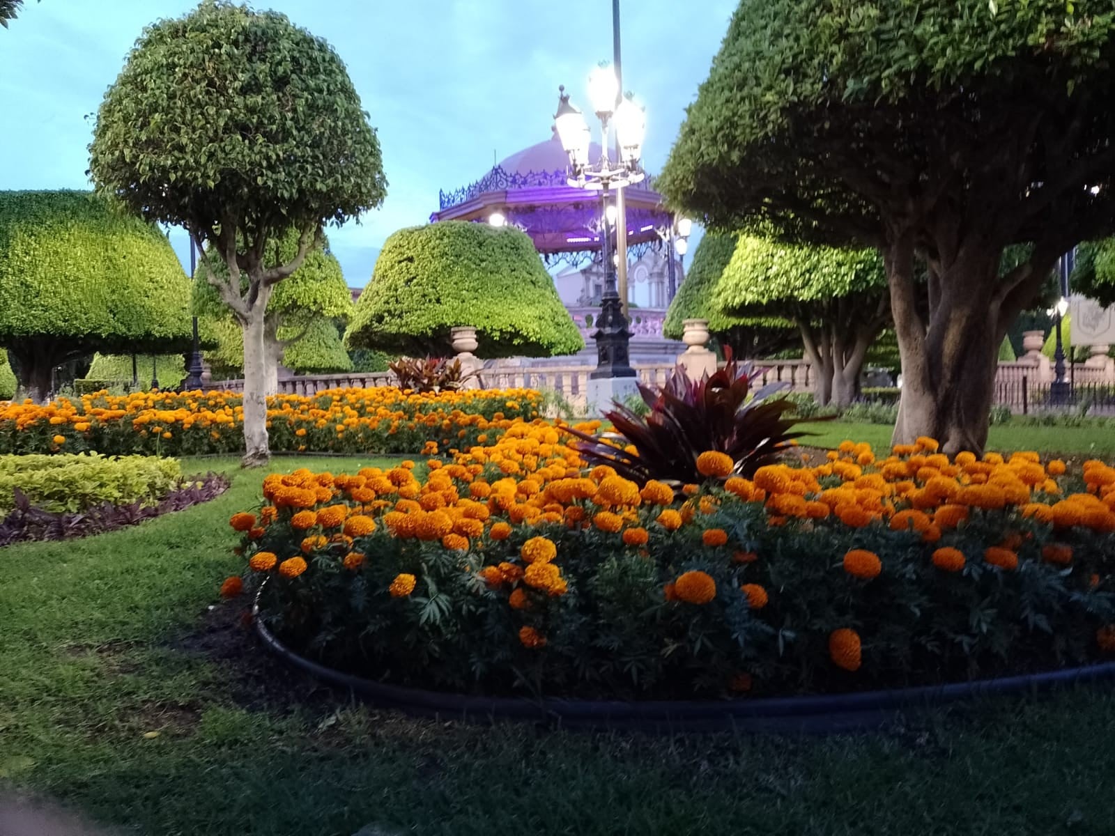 Inicia este miércoles canje de flores de cempasúchil por material reciclado