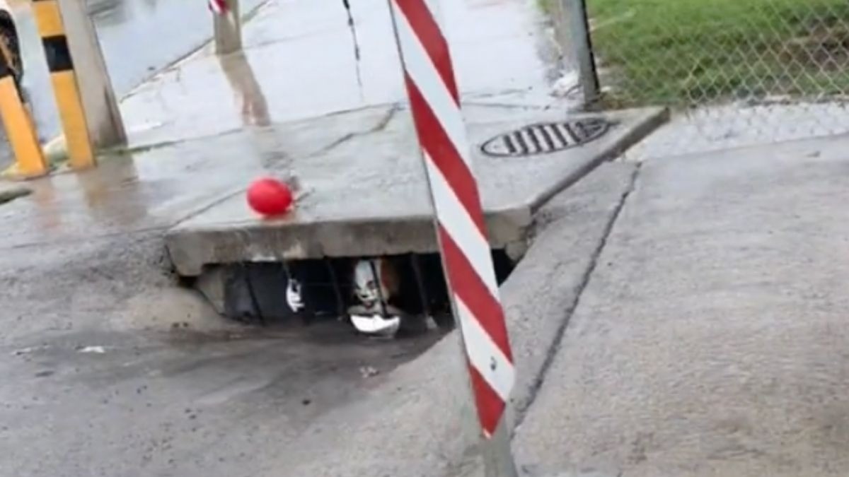 VIDEO ¡Todos flotan! Captan a Pennywise, el payaso Eso, en una alcantarilla de México