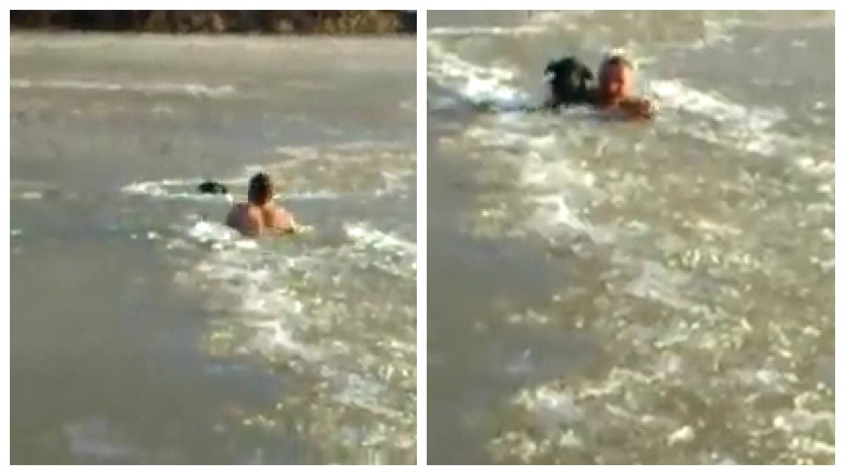 VIDEO Hombre rompe hielo de lago congelado con sus propias manos para rescatar a perrito
