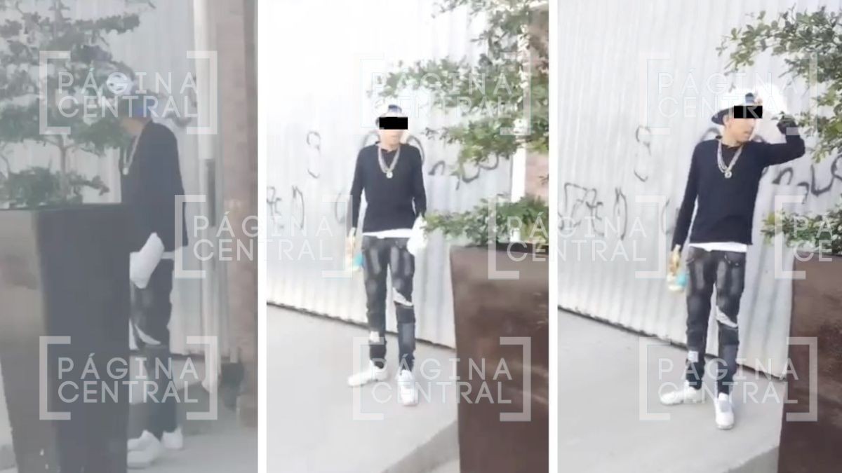 VIDEO Mujer encara a ladrón que asaltó a mamá con sus 3 hijas; luego lo detiene la Policía