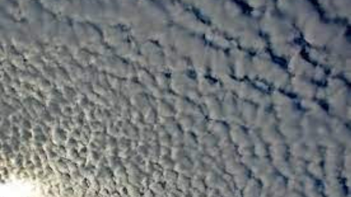 ¡Que no te agarre desprevenido el pronóstico del clima en León!