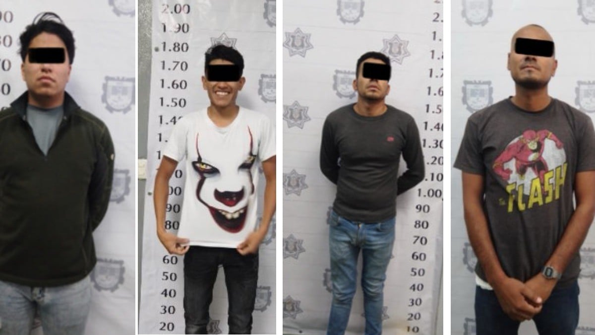 Caen secuestradores de Poncho, perrito plagiado en San Miguel de Allende