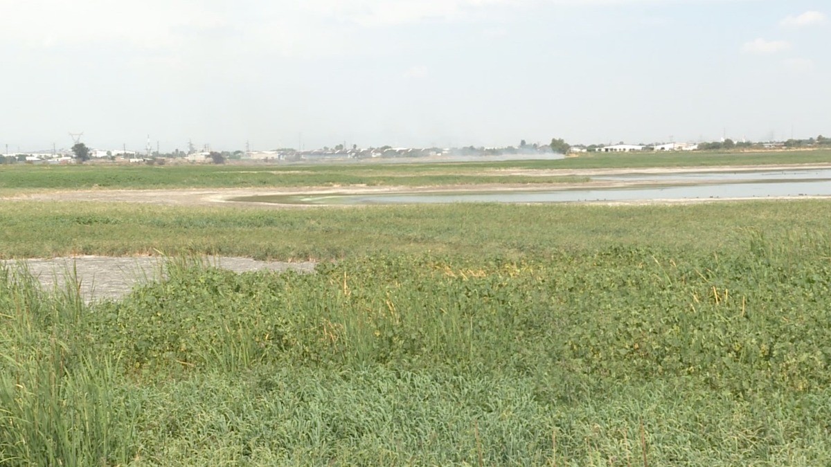 Sequía empeorará en Guanajuato, ¡cuida el agua!