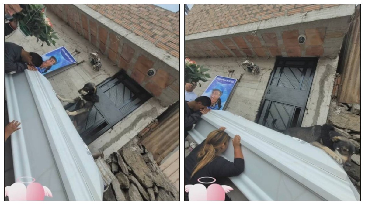 VIDEO Captan en funeral a perrito llorando y aferrándose al ataúd de su dueño